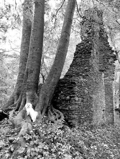 70. Handy-Fotochallenge: Zeitreisen-Beitrag-Bild