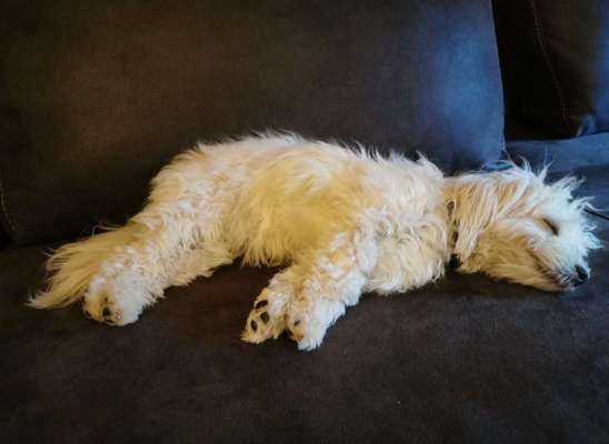 Foto Challenge Nr. 134-Beitrag-Bild