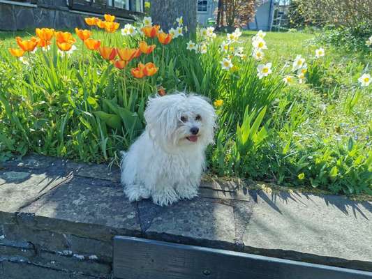 1. Fotochallenge Collagen - 4 Jahreszeiten-Beitrag-Bild