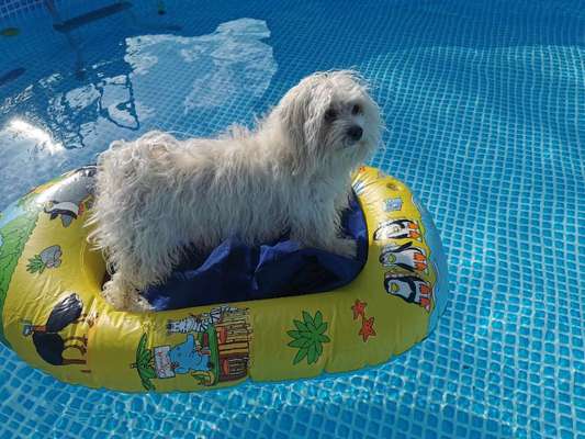 1. Fotochallenge Collagen - 4 Jahreszeiten-Beitrag-Bild