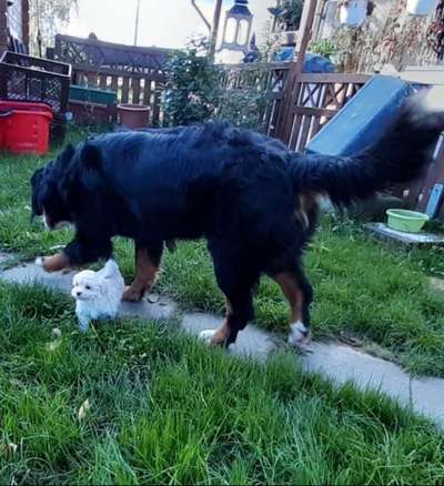 155. FotoChallange * David und Goliath *-Beitrag-Bild