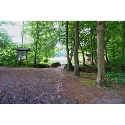 Hundeauslaufgebiet-Mühlenteich-Bild