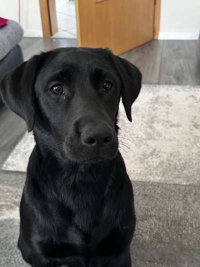 Ach, wie schnell die Zeit vergeht-Beitrag-Bild