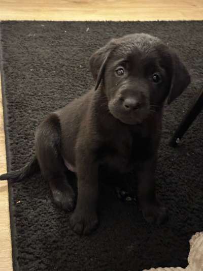 Ach, wie schnell die Zeit vergeht-Beitrag-Bild