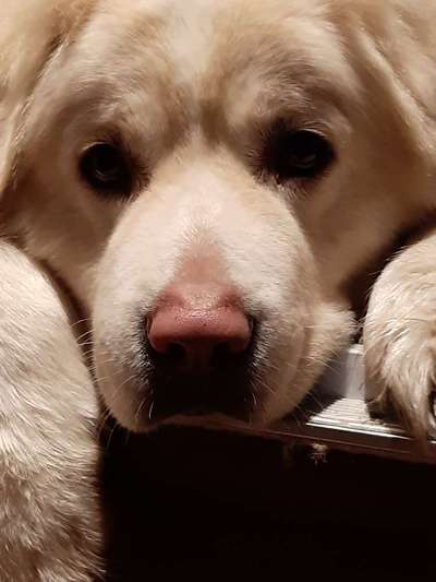 Fotochallange Nr. 57     PORTRÄT.   Beendet!!!!!!!!-Beitrag-Bild