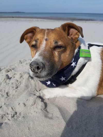 Fotochallange Nr. 57     PORTRÄT.   Beendet!!!!!!!!-Beitrag-Bild