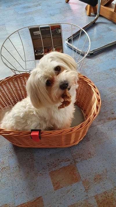 Lieblingsbild-Beitrag-Bild