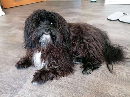 Doppelgänger gesucht !-Beitrag-Bild