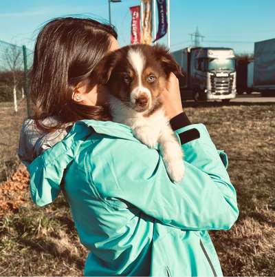 Hundetreffen-Jung Hunde Treffen zum spielen/kennenlernen:)