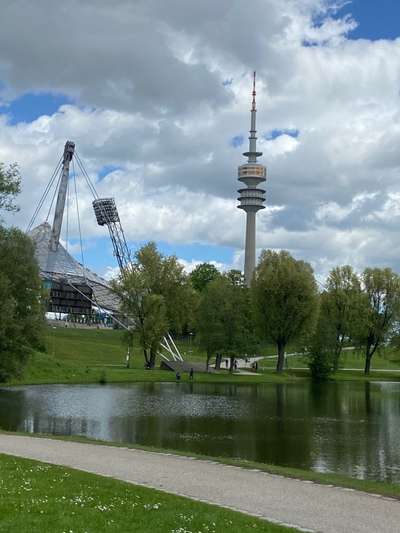 Hundeauslaufgebiet-Olympiapark Süd-Bild