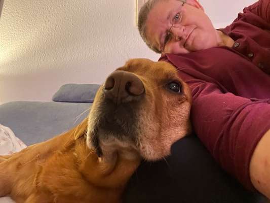 Euer schönstes Bild mit eurem Hund gemeinsam!-Beitrag-Bild