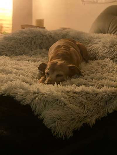 Schlafzeit!💖-Beitrag-Bild