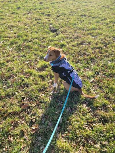 Anpassen bei Minusgraden-Beitrag-Bild