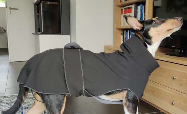 Upcycling - aus Alt mach Neu-Beitrag-Bild