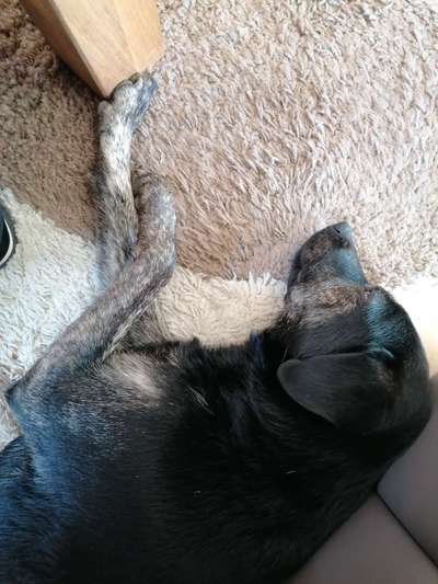 CHALLENGE NR. 34 - Liege-/Schlafpositionen-Beitrag-Bild