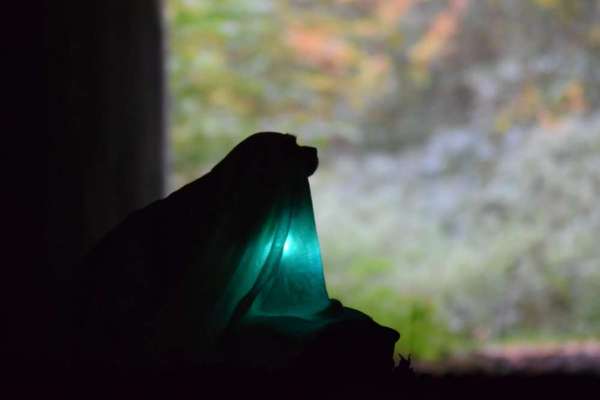 Hier ist der Spaßthread. Zum Schmunzeln und Kaputtlachen-Beitrag-Bild