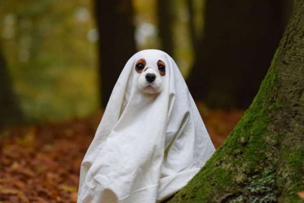 Hier ist der Spaßthread. Zum Schmunzeln und Kaputtlachen-Beitrag-Bild