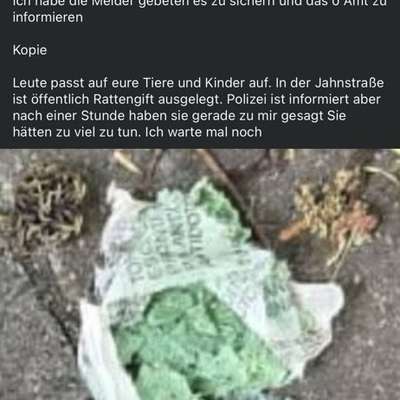 Giftköder-Rattengift-Bild