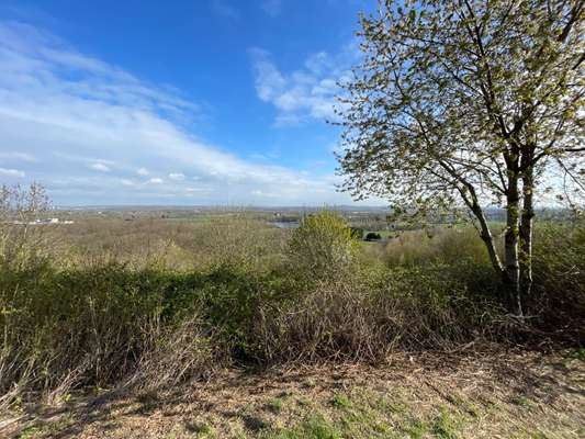 Hundeauslaufgebiet-Halde Lanstop-Bild