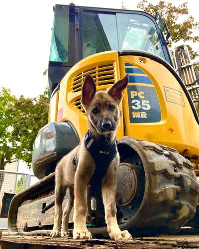 Fotowettbewerb zum Thema "Sonne"-Beitrag-Bild