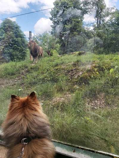 Fotochallenge 87: Im Park-Beitrag-Bild