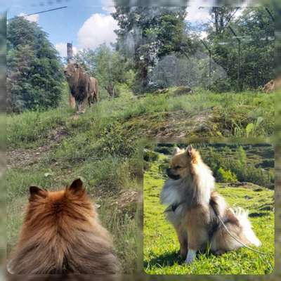 Fotochallenge 88-Beitrag-Bild