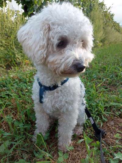 Lieblingsbild-Beitrag-Bild