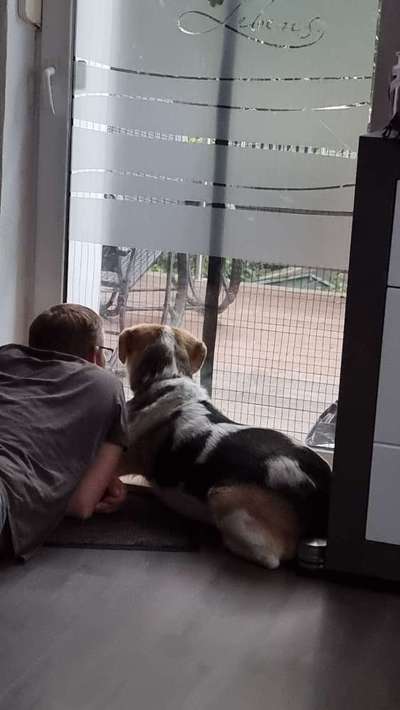 FOTOCHALLENGE 68: Dein Hund und sein bester Freund-Beitrag-Bild