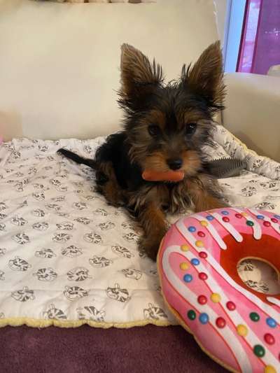 Foto Challenge 3-Beitrag-Bild