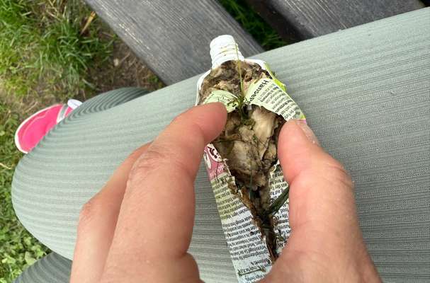 Giftköder-Tube mit verdächtigem Inhalt-Bild