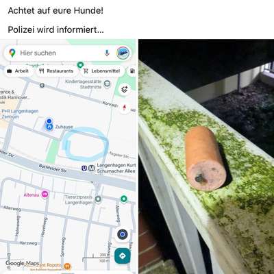 Giftköder-Präparierte Wurststücke-Bild