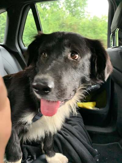 Fotochallange Nr. 6 Die irrsten Blicke-Beitrag-Bild