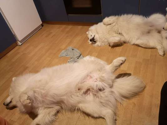 CHALLENGE NR. 34 - Liege-/Schlafpositionen-Beitrag-Bild