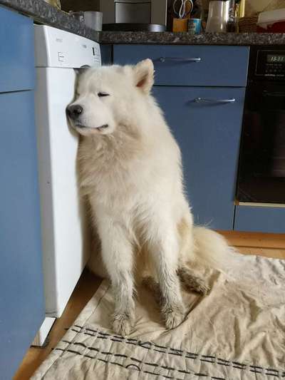 CHALLENGE NR. 34 - Liege-/Schlafpositionen-Beitrag-Bild