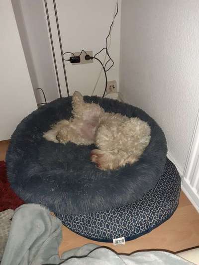 Erfahrung mit Wolkenbett-Beitrag-Bild