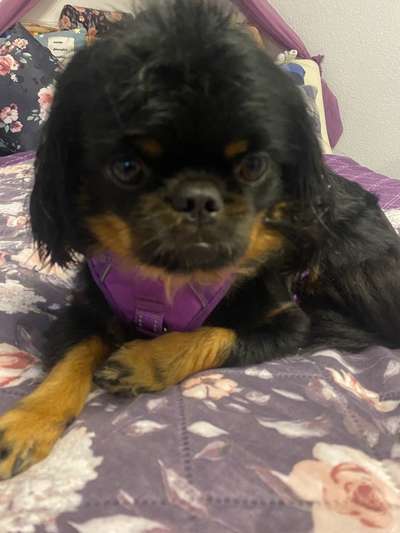 Lieblingsbild-Beitrag-Bild