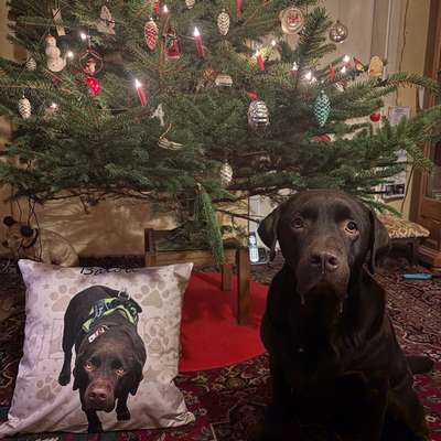 aktuelles Foto Gruppe Trickkiste