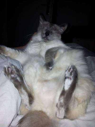 Die unbequemsten und lustigsten Schlafpositionen-Beitrag-Bild