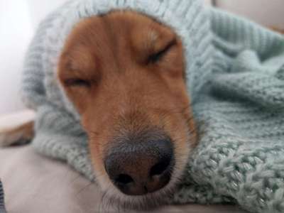 Die unbequemsten und lustigsten Schlafpositionen-Beitrag-Bild