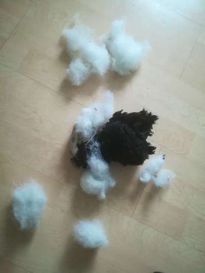 Kaputtes Spielzeug - Fotosammlung-Beitrag-Bild