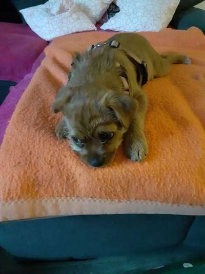 Erstes Bild-Beitrag-Bild