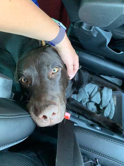 Handy-Foto Challange Nr. 10-Beitrag-Bild