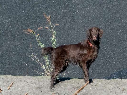 13. Farben-Fotochallenge "Grau"-Beitrag-Bild