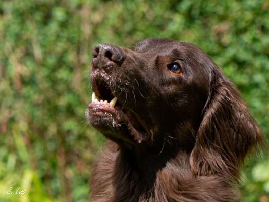 Zeigt eure Portraits-Beitrag-Bild