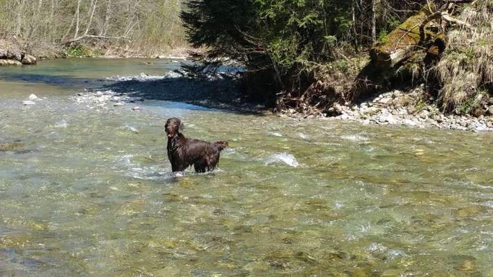 Fotowettbewerb Natur-Beitrag-Bild
