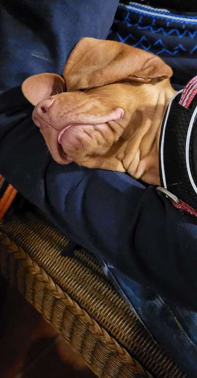 Her mit dem Grimassen-Beitrag-Bild