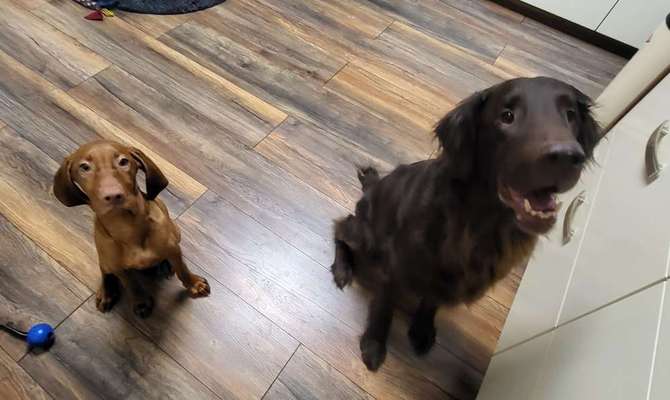 Von oben-Beitrag-Bild