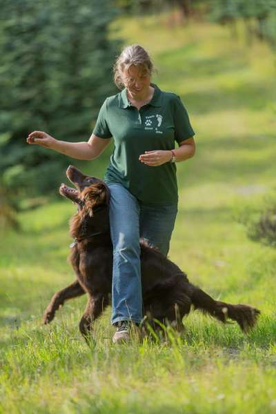 Hundmenschfotos-Beitrag-Bild