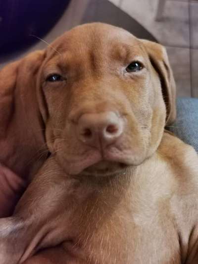 Erstes Bild-Beitrag-Bild