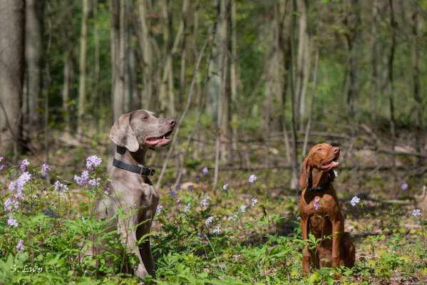 Fotochallenge 78

Es grünt und blüht-Beitrag-Bild